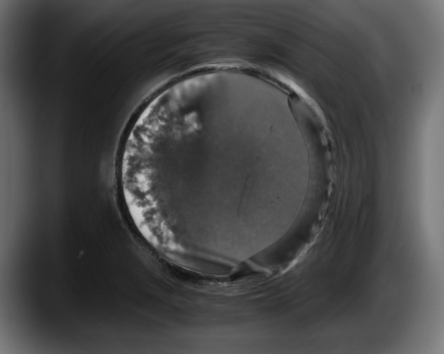 X0000087521229200705251633