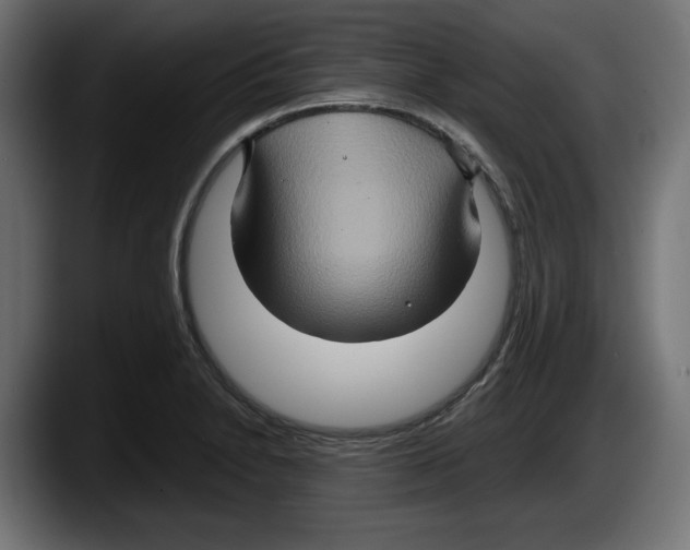 X0000087521230200705251633