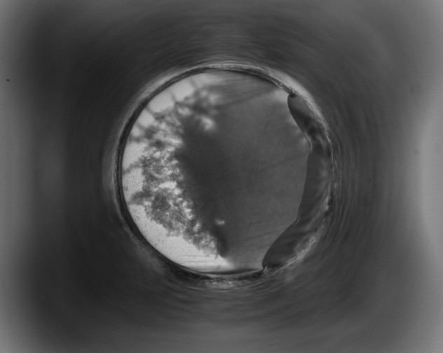 X0000087521231200705251633