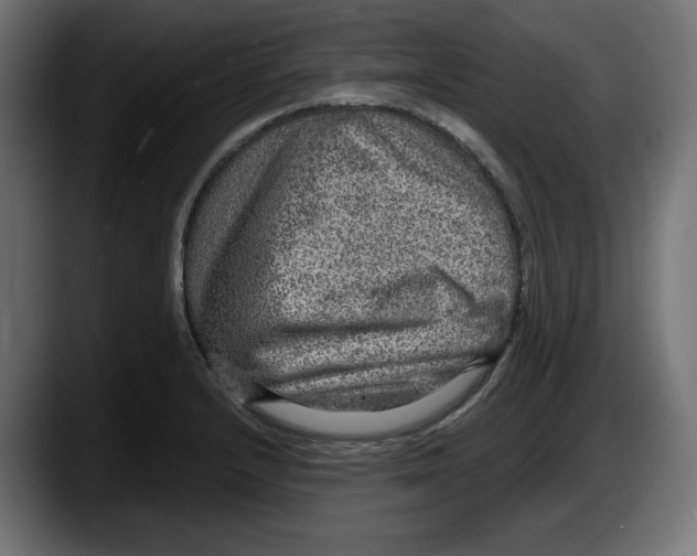 X0000087521232200705251633