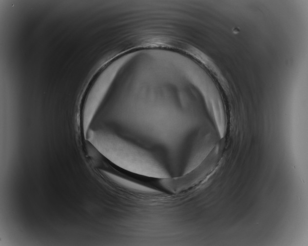 X0000087521234200705251633