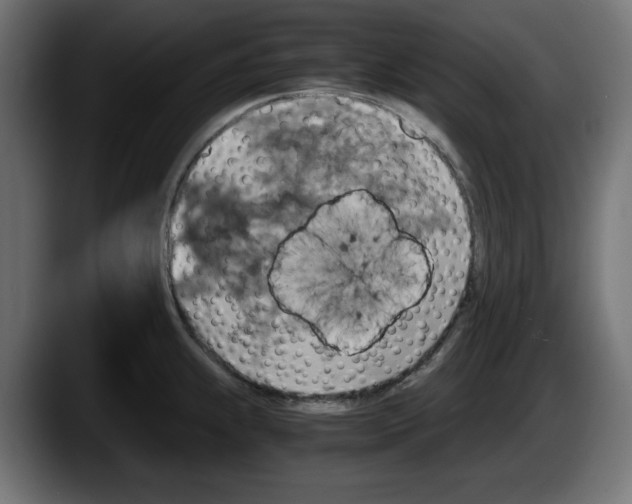 X0000087521239200705251633