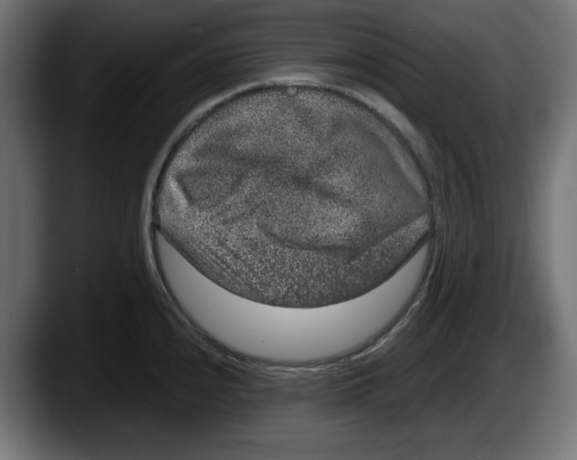 X0000087521240200705251633