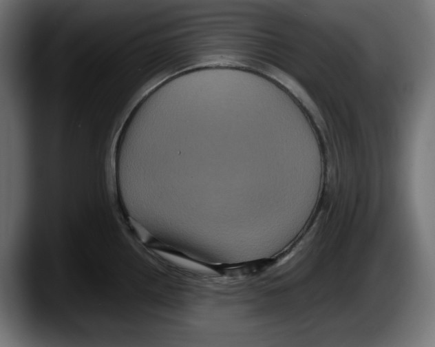 X0000087521242200705251633