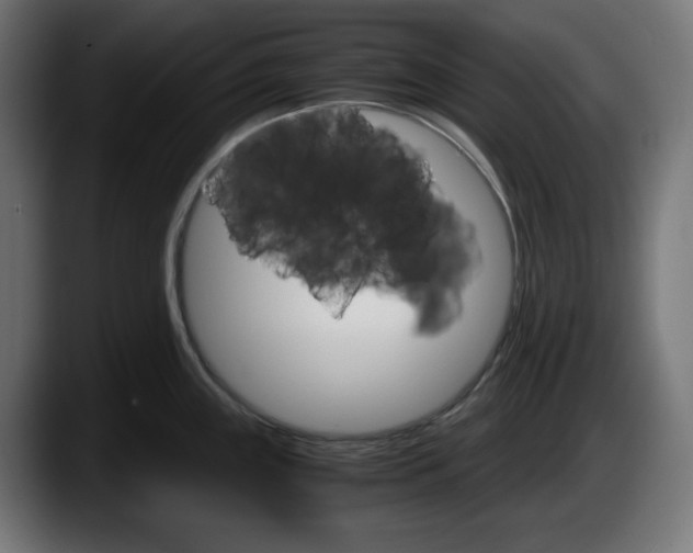 X0000087521243200705251633