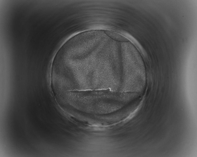 X0000087521244200705251633