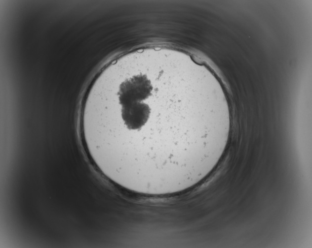 X0000087521245200705251633