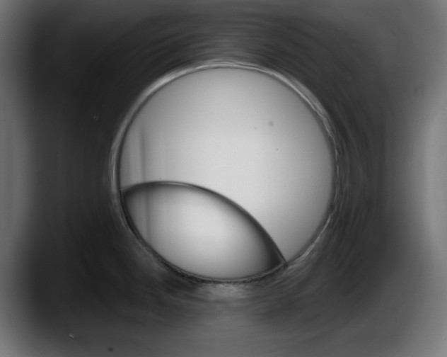 X0000087521246200705251633