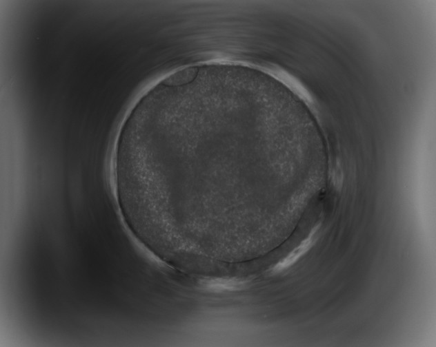 X0000087521247200705251633