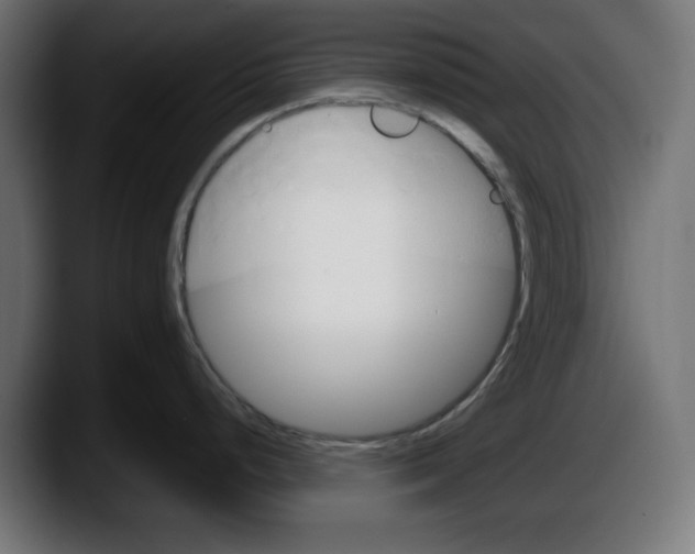 X0000087521248200705251633