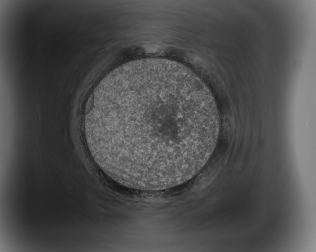 X0000087521249200705251632