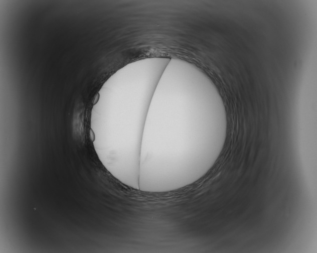 X0000087521250200705251632