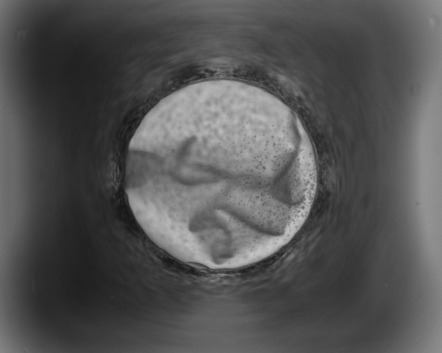 X0000087521253200705251632