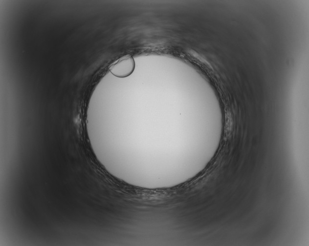 X0000087521254200705251632