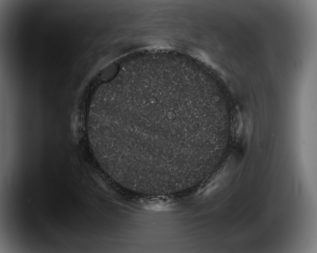 X0000087521255200705251632