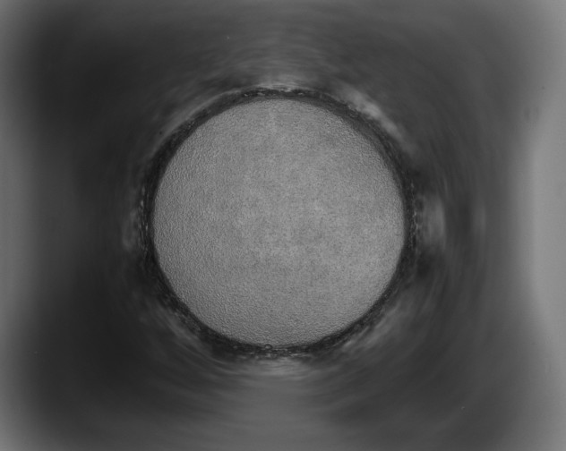 X0000087521256200705251632