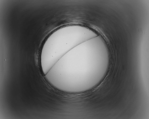 X0000087521260200705251632