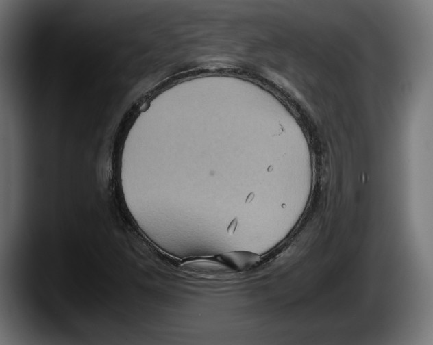 X0000087521261200705251632