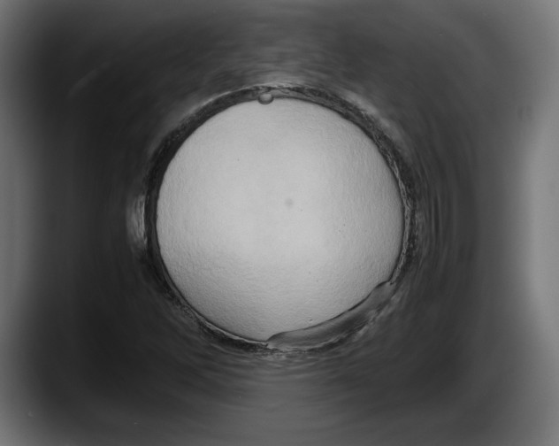 X0000087521262200705251632