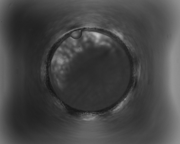 X0000087521263200705251632