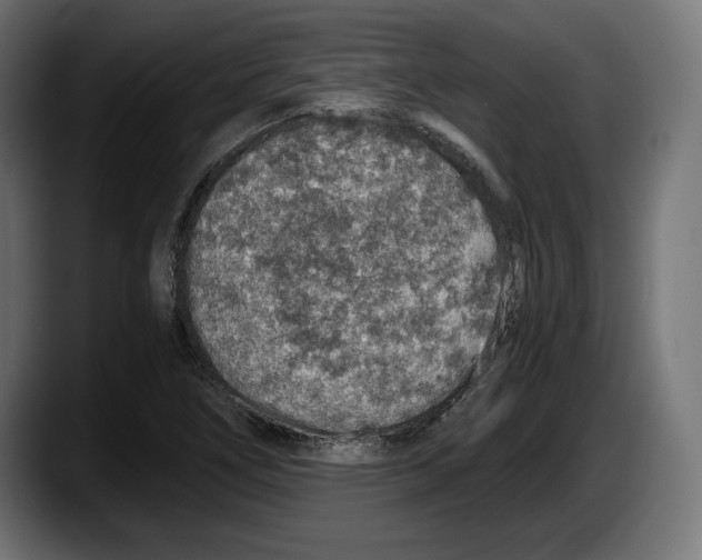 X0000087521266200705251632