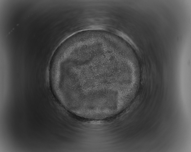 X0000087521268200705251632