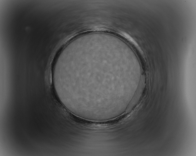 X0000087521269200705251632