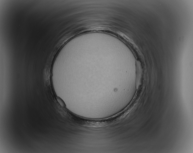 X0000087521273200705251632