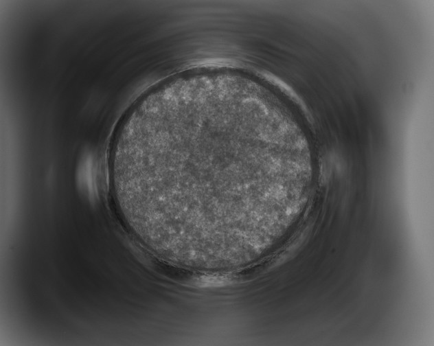 X0000087521274200705251632