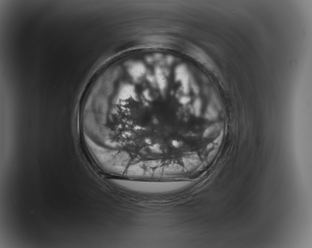 X0000087521275200705251632