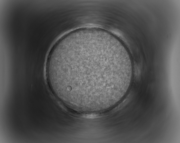 X0000087521278200705251632