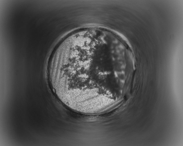 X0000087521279200705251632