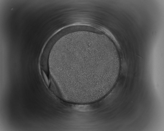 X0000087521284200705251632