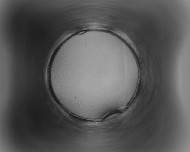 X0000087521285200705251632