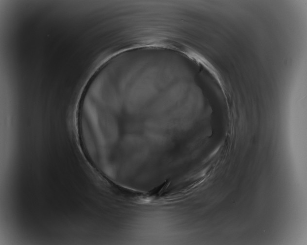 X0000087521291200705251632