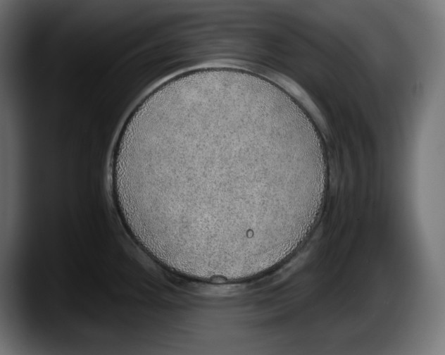 X0000087521292200705251632