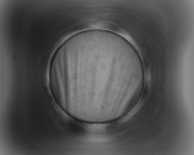 X0000087521294200705251632