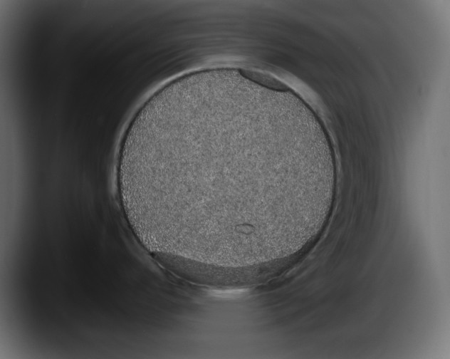 X0000087521296200705251632