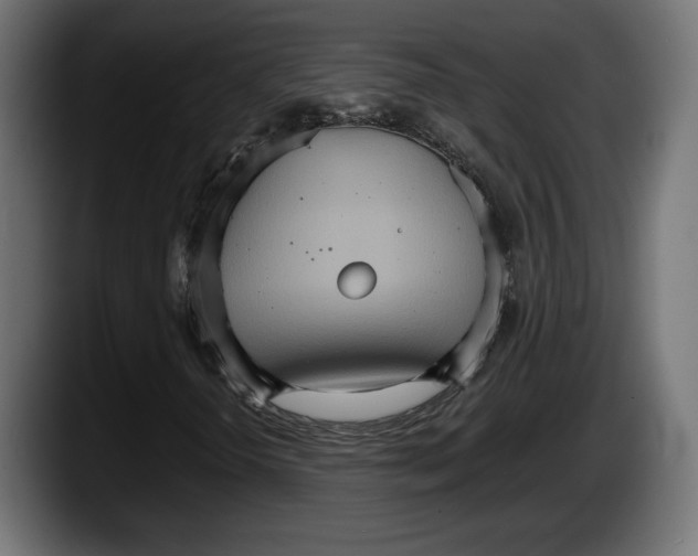 X0000087521298200705251631