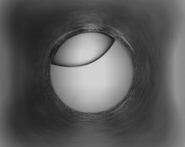 X0000087521304200705251631