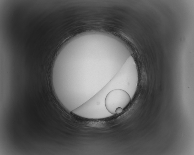 X0000087521305200705251631