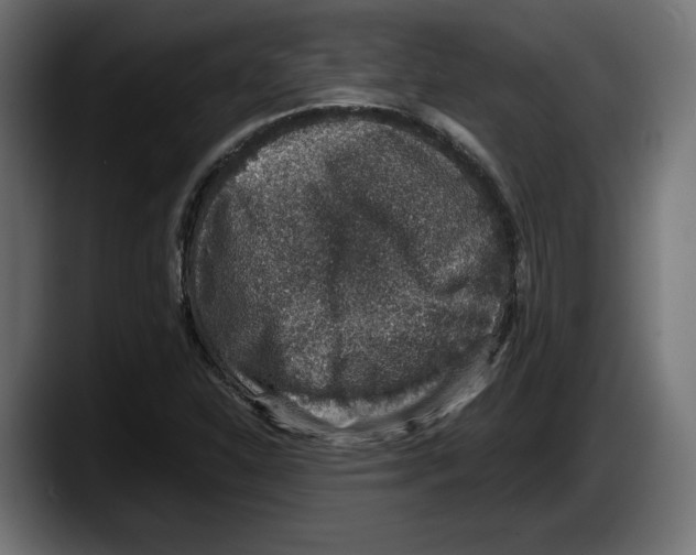 X0000087521310200705251631