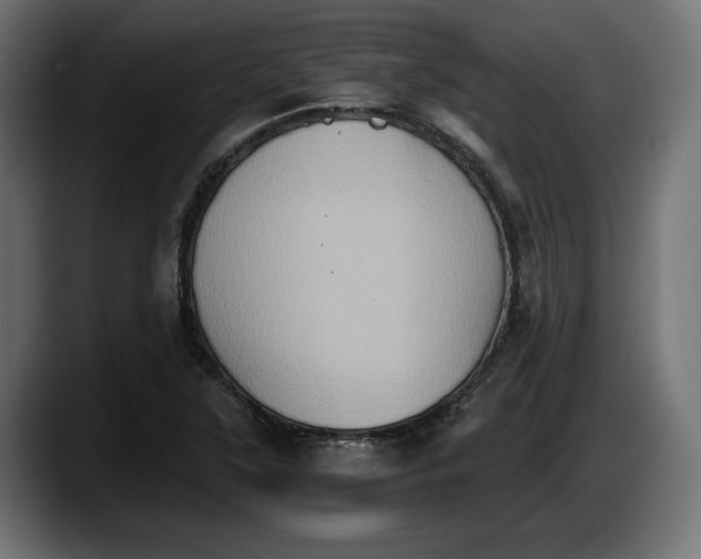 X0000087521315200705251631