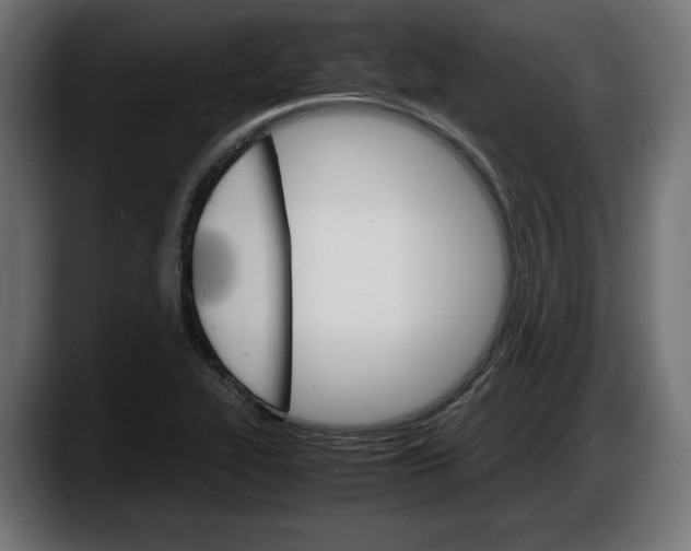 X0000087521319200705251631