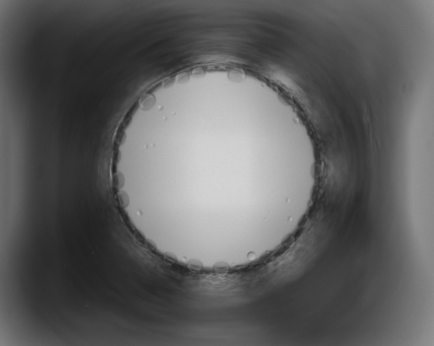 X0000087521322200705251631