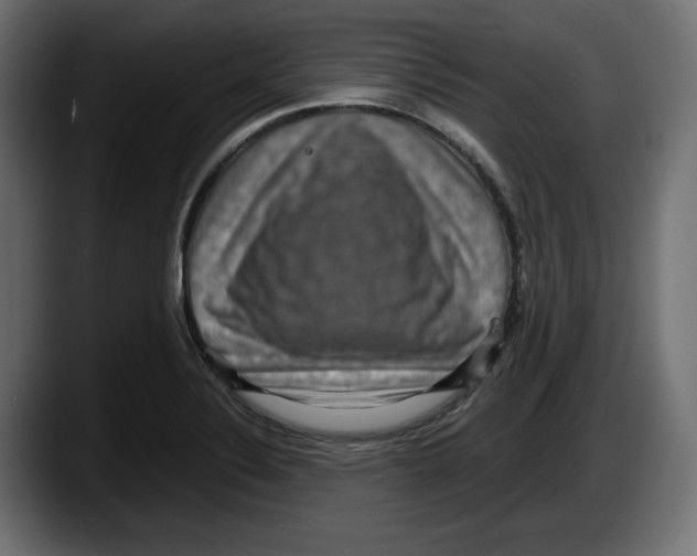 X0000087521324200705251631