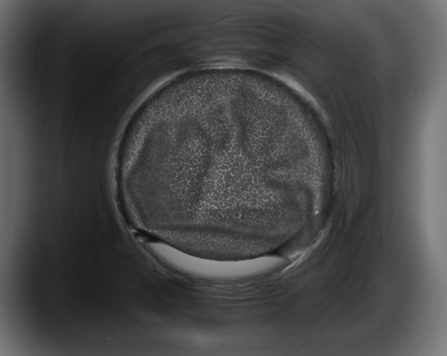 X0000087521325200705251631