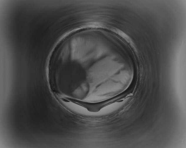 X0000087521334200705251631