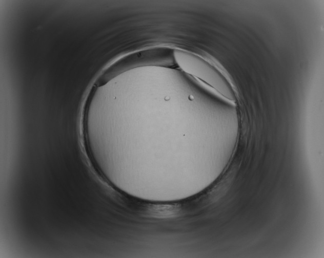 X0000087521339200705251632