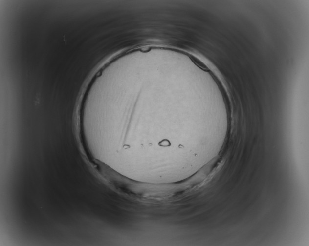 X0000087521341200705251632